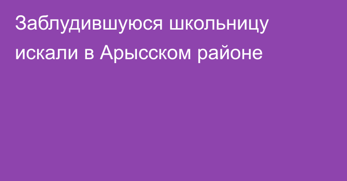 Заблудившуюся школьницу искали в Арысском районе