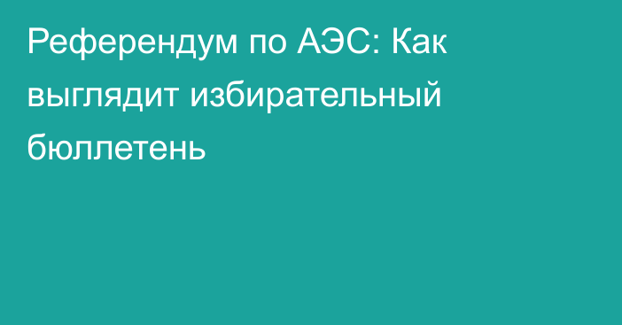 Референдум по АЭС: Как выглядит избирательный бюллетень