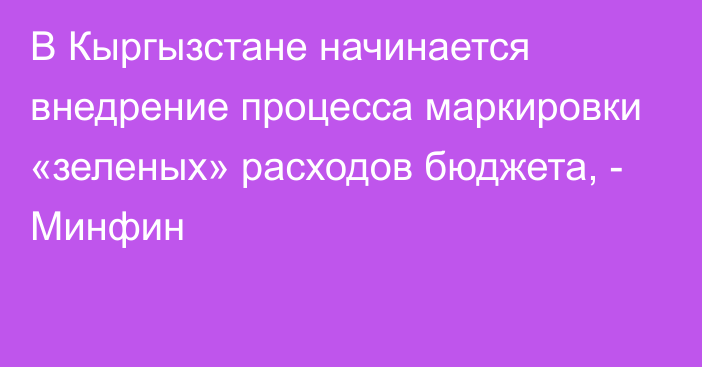 В Кыргызстане начинается внедрение процесса маркировки «зеленых» расходов бюджета, - Минфин