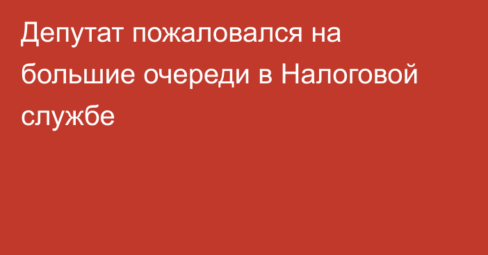 Депутат пожаловался на большие очереди в Налоговой службе