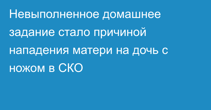 Невыполненное домашнее задание стало причиной нападения матери на дочь с ножом в СКО