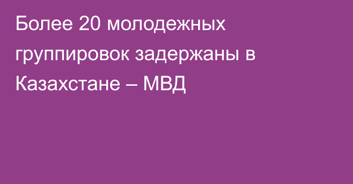 Более 20 молодежных группировок задержаны в Казахстане – МВД