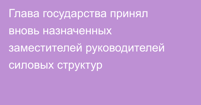 Глава государства принял вновь назначенных заместителей руководителей силовых структур