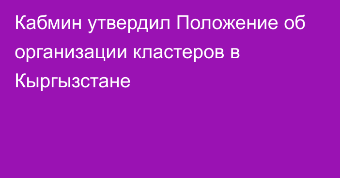 Кабмин утвердил Положение об организации кластеров в Кыргызстане