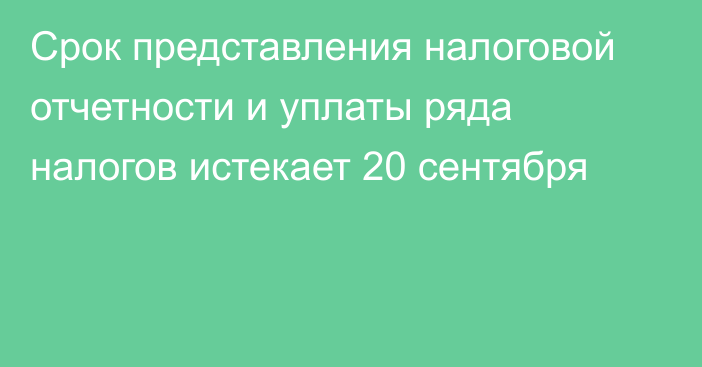 Срок представления налоговой отчетности и уплаты ряда налогов истекает 20 сентября