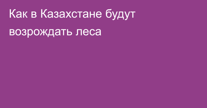 Как в Казахстане будут возрождать леса