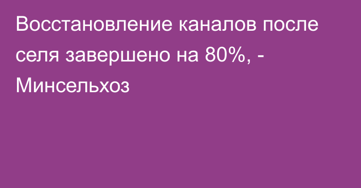 Восстановление каналов после селя завершено на 80%, - Минсельхоз