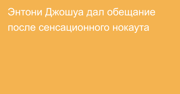 Энтони Джошуа дал обещание после сенсационного нокаута