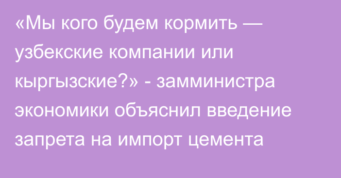 «Мы кого будем кормить — узбекские компании или кыргызские?» - замминистра экономики объяснил введение запрета на импорт цемента