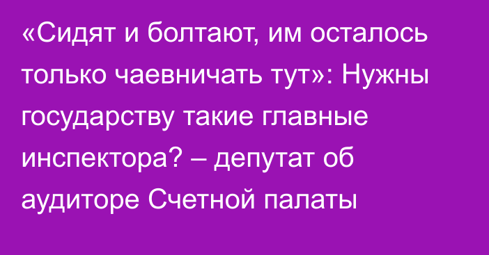 «Сидят и болтают, им осталось только чаевничать тут»: Нужны государству такие главные инспектора? – депутат об аудиторе Счетной палаты