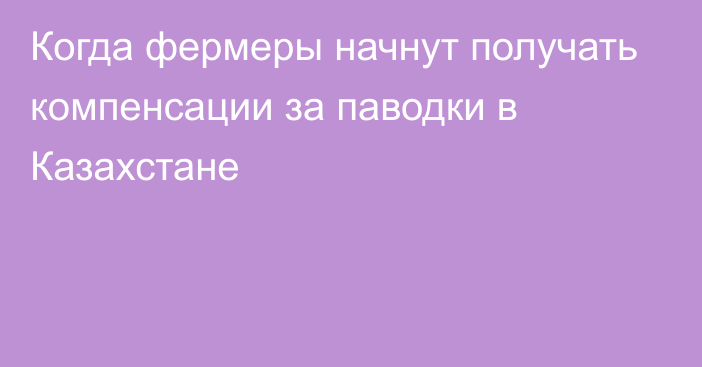 Когда фермеры начнут получать компенсации за паводки в Казахстане