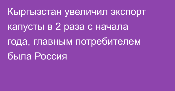 Кыргызстан увеличил экспорт капусты в 2 раза с начала года, главным потребителем была Россия