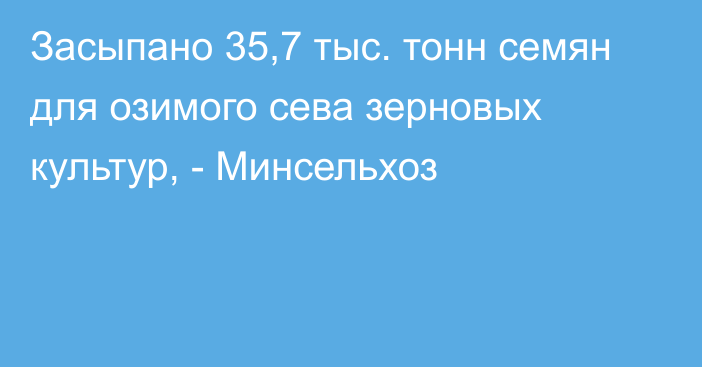 Засыпано 35,7 тыс. тонн семян для озимого сева зерновых культур, - Минсельхоз