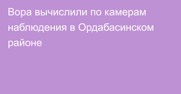 Вора вычислили по камерам наблюдения в Ордабасинском районе