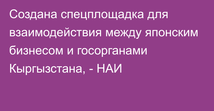 Создана спецплощадка для взаимодействия между японским бизнесом и госорганами Кыргызстана, - НАИ