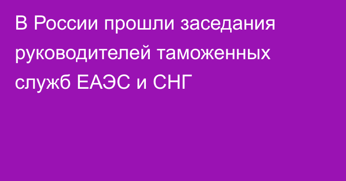 В России прошли заседания руководителей таможенных служб ЕАЭС и СНГ