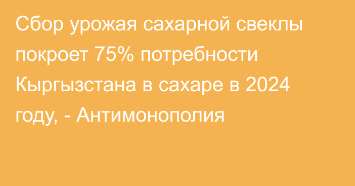 Сбор урожая сахарной свеклы покроет 75% потребности Кыргызстана в сахаре в 2024 году, - Антимонополия