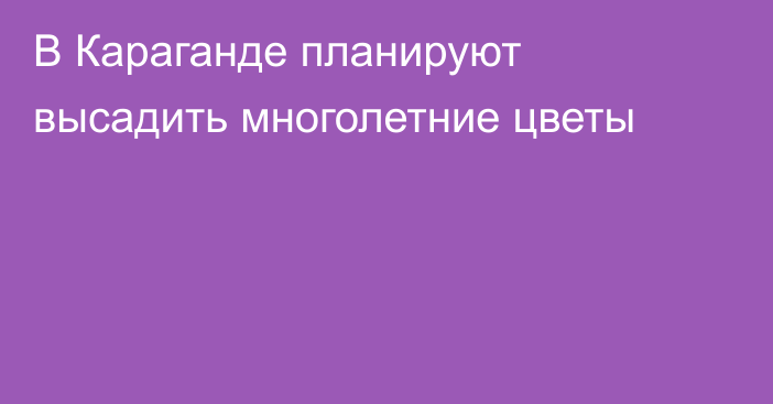 В Караганде планируют высадить многолетние цветы