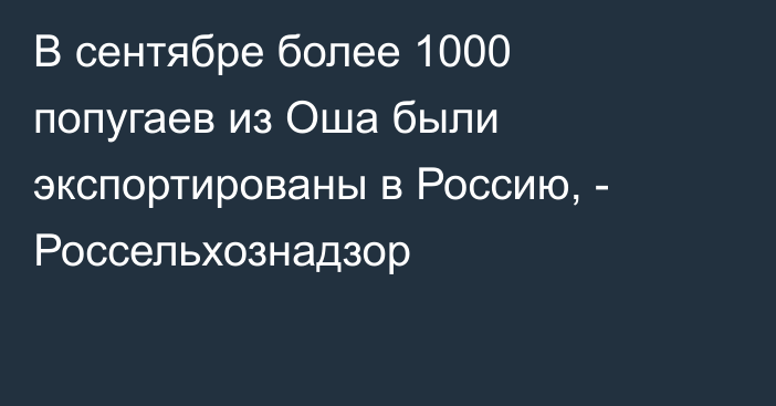 В сентябре более 1000 попугаев из Оша были экспортированы в Россию, - Россельхознадзор