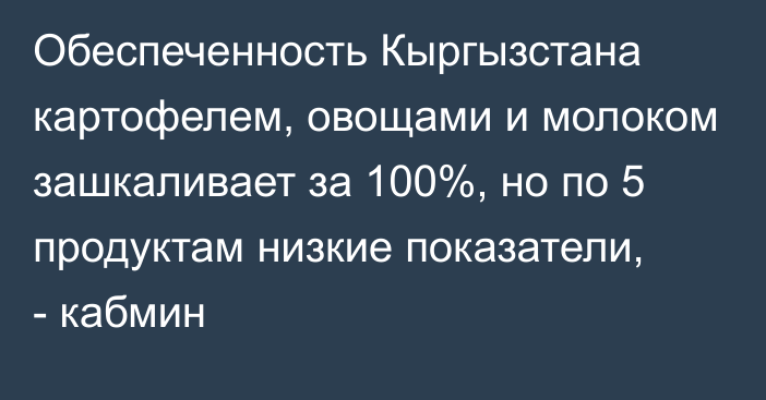 Обеспеченность Кыргызстана картофелем, овощами и молоком зашкаливает за 100%, но по 5 продуктам низкие показатели, - кабмин