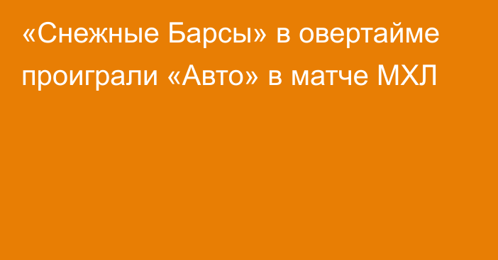 «Снежные Барсы» в овертайме проиграли «Авто» в матче МХЛ