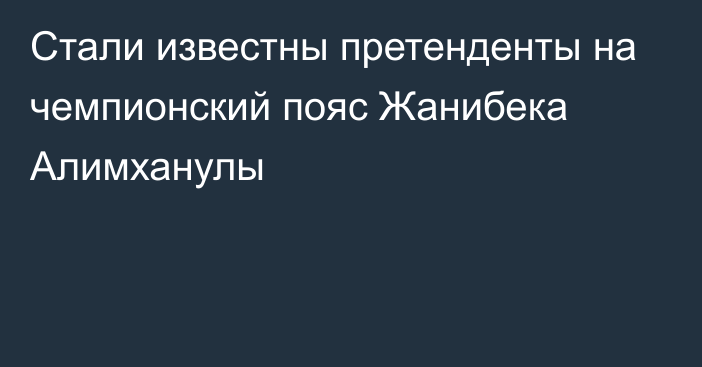 Стали известны претенденты на чемпионский пояс Жанибека Алимханулы