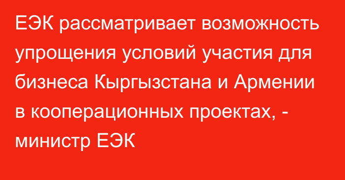 ЕЭК рассматривает возможность упрощения условий участия для бизнеса Кыргызстана и Армении в кооперационных проектах, - министр ЕЭК