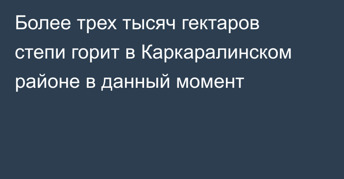 Более трех тысяч гектаров степи горит в Каркаралинском районе в данный момент