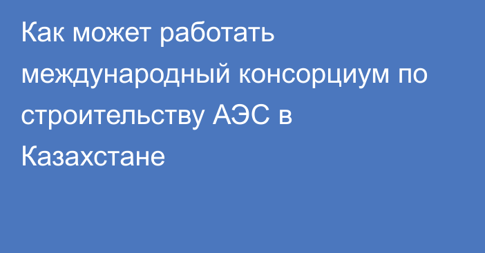 Как может работать международный консорциум по строительству АЭС в Казахстане