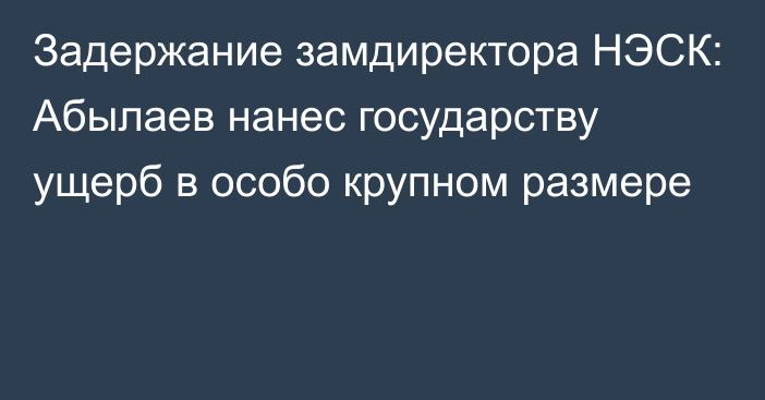 Задержание замдиректора НЭСК: Абылаев нанес государству ущерб в особо крупном размере