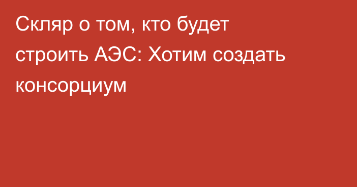 Скляр о том, кто будет строить АЭС: Хотим создать консорциум