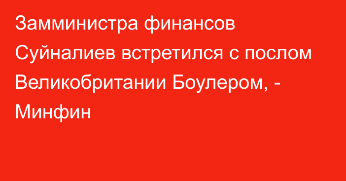 Замминистра финансов Суйналиев встретился с послом Великобритании Боулером, - Минфин