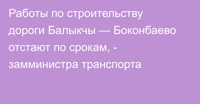 Работы по строительству дороги Балыкчы — Боконбаево отстают по срокам, - замминистра транспорта