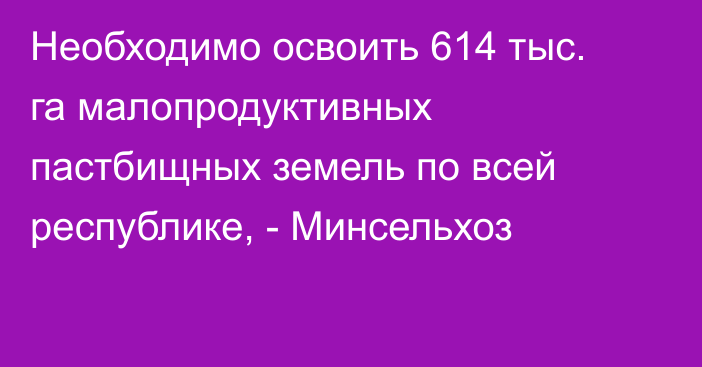 Необходимо освоить 614 тыс. га малопродуктивных пастбищных земель по всей республике, - Минсельхоз