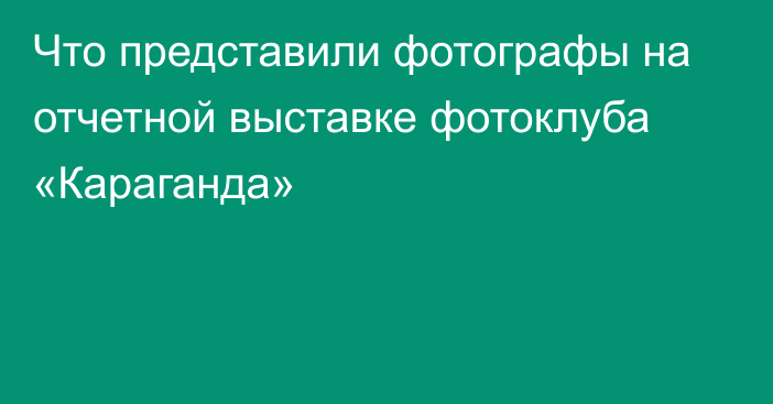 Что представили фотографы на отчетной выставке фотоклуба «Караганда»