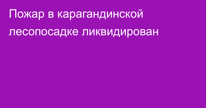 Пожар в карагандинской лесопосадке ликвидирован