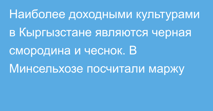 Наиболее доходными культурами в Кыргызстане являются черная смородина и чеснок. В Минсельхозе посчитали маржу