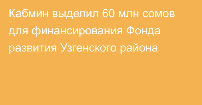 Кабмин выделил 60 млн сомов для финансирования Фонда развития Узгенского района