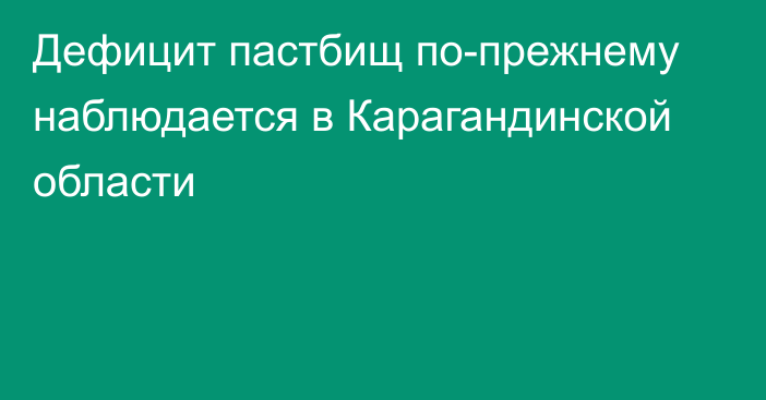 Дефицит пастбищ по-прежнему наблюдается в Карагандинской области