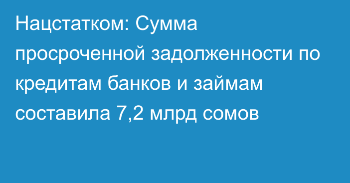 Нацстатком: Сумма просроченной задолженности по кредитам банков и займам составила 7,2 млрд сомов