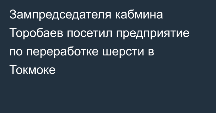 Зампредседателя кабмина Торобаев посетил предприятие по переработке шерсти в Токмоке