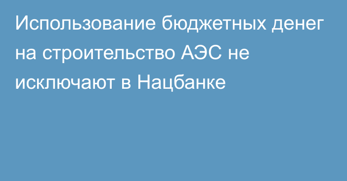 Использование бюджетных денег на строительство АЭС не исключают в Нацбанке