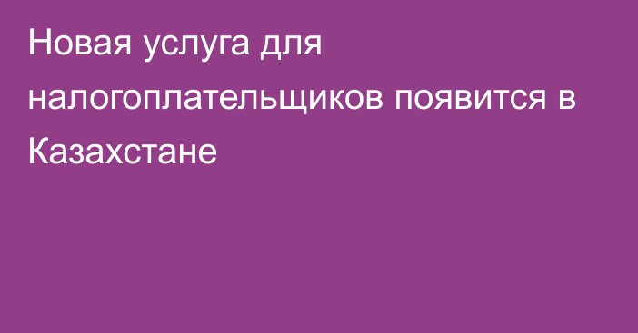 Новая услуга для налогоплательщиков появится в Казахстане