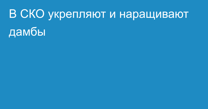 В СКО укрепляют и наращивают дамбы