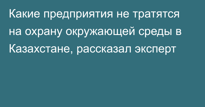 Какие предприятия не тратятся на охрану окружающей среды в Казахстане, рассказал эксперт