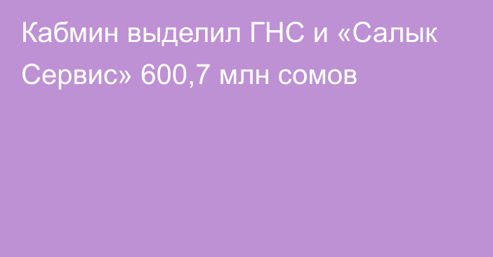 Кабмин выделил ГНС и «Салык Сервис» 600,7 млн сомов