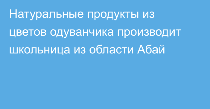 Натуральные продукты из цветов одуванчика производит школьница из области Абай