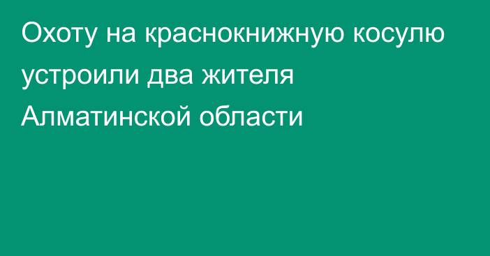 Охоту на краснокнижную косулю устроили два жителя Алматинской области