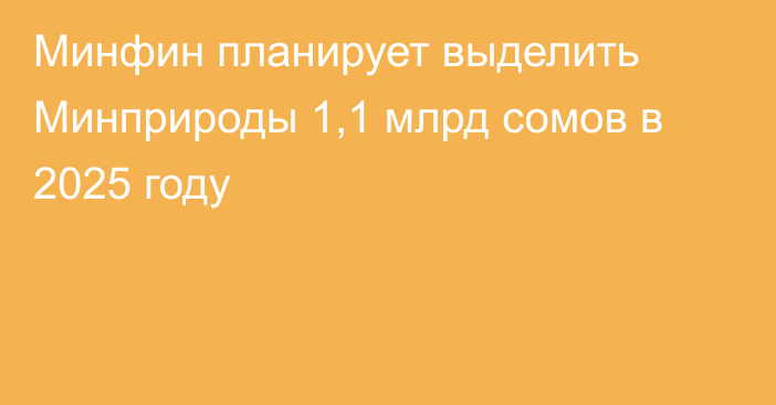 Минфин планирует выделить Минприроды 1,1 млрд сомов в 2025 году