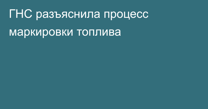 ГНС разъяснила процесс маркировки топлива